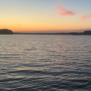 Meet your Posher, Kenya